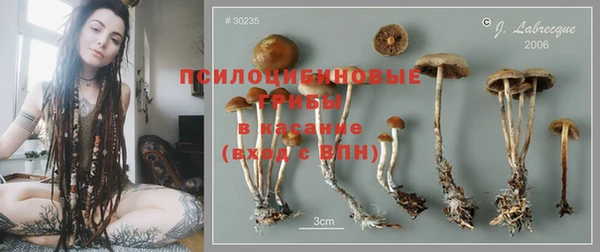 MESCALINE Пролетарск