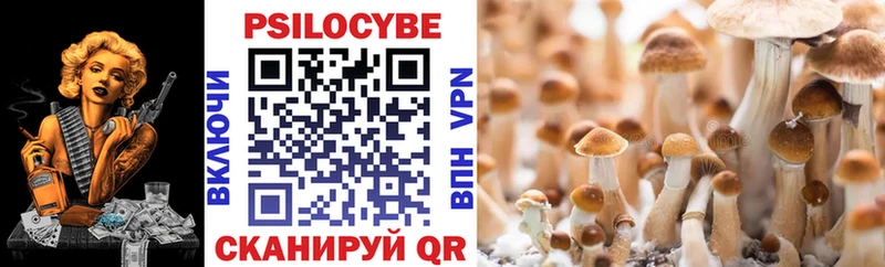 где купить наркоту  Краснозаводск  Галлюциногенные грибы мухоморы 